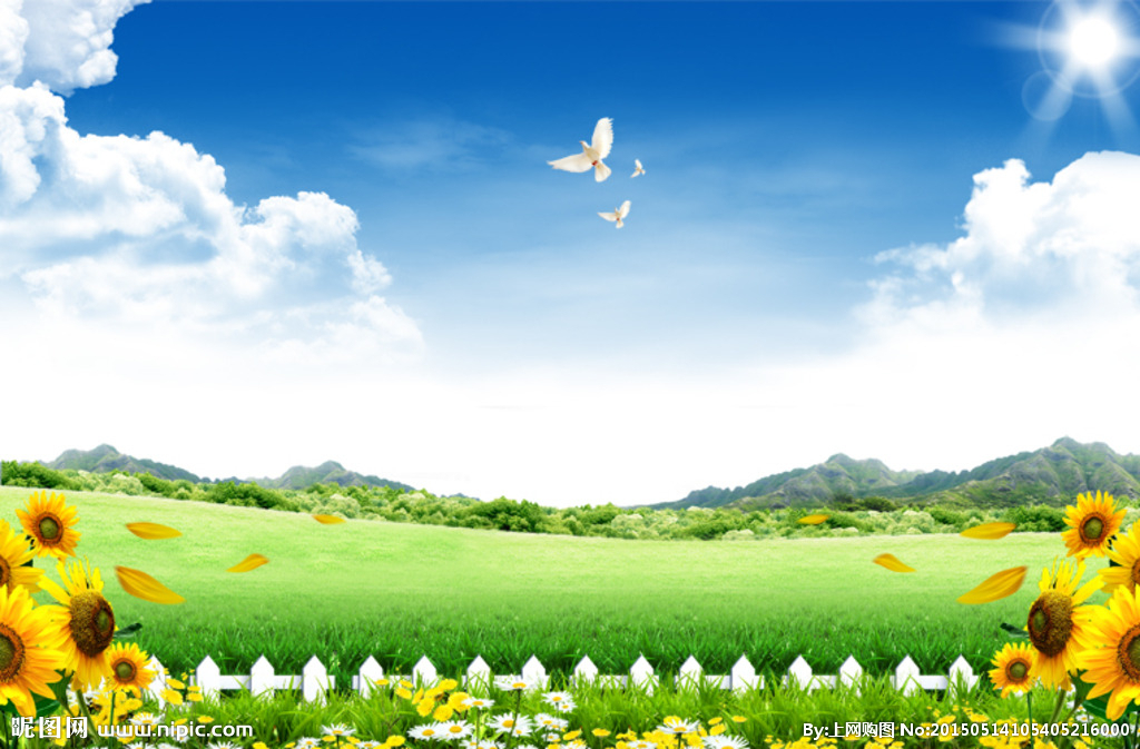 动画电影《飞鸭向前冲》：笑中启发，温馨感动，带你奇幻之旅